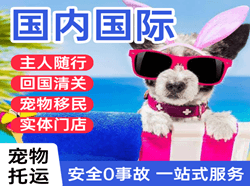 塔城千泉机场快递国际宠物托运 【国